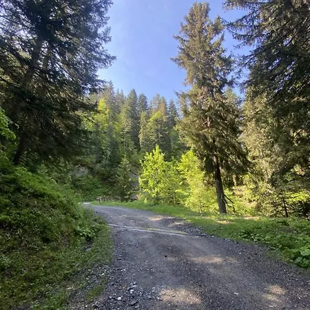 Alpehytte La Source