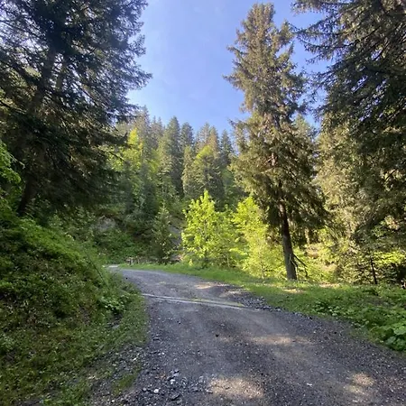 Chalet La Source