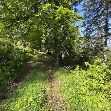 La Source *