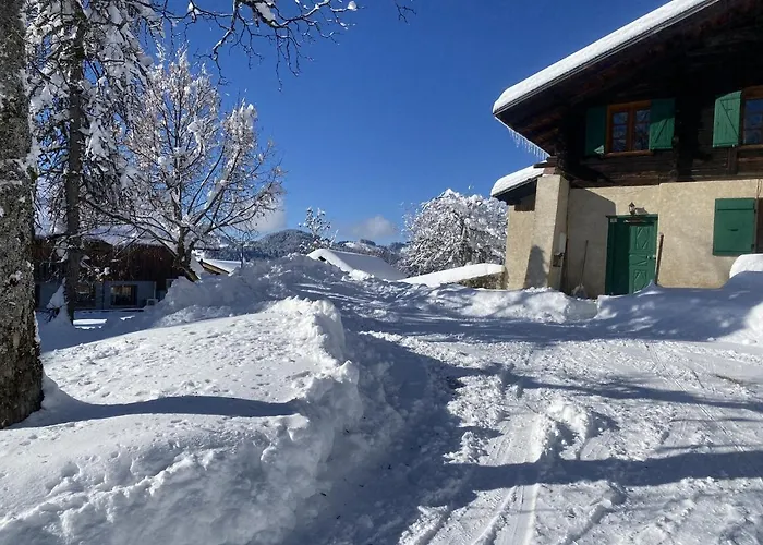 Chalet La Source