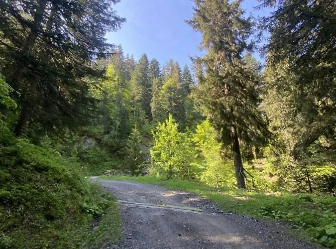 Chalet La Source