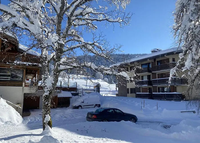 Chalet La Source *