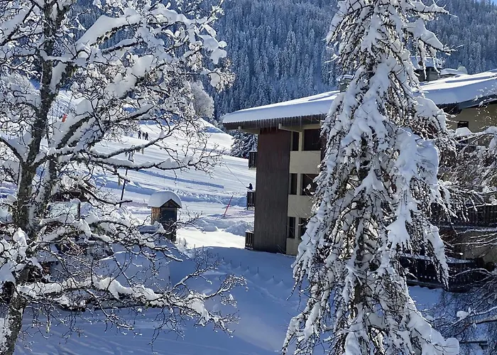 Chalet La Source Cohennoz